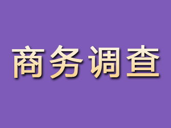 永泰商务调查